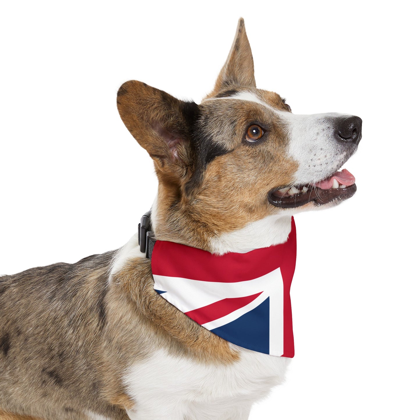 Lichfield Proms Union Jack - Pet Bandana Collar