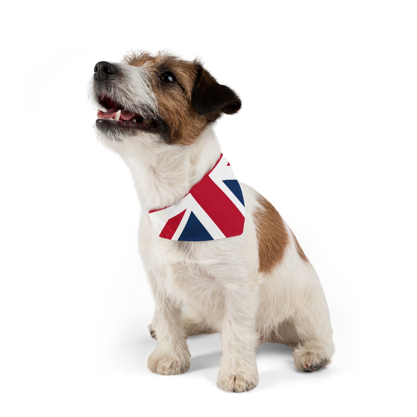 Lichfield Proms Union Jack - Pet Bandana Collar