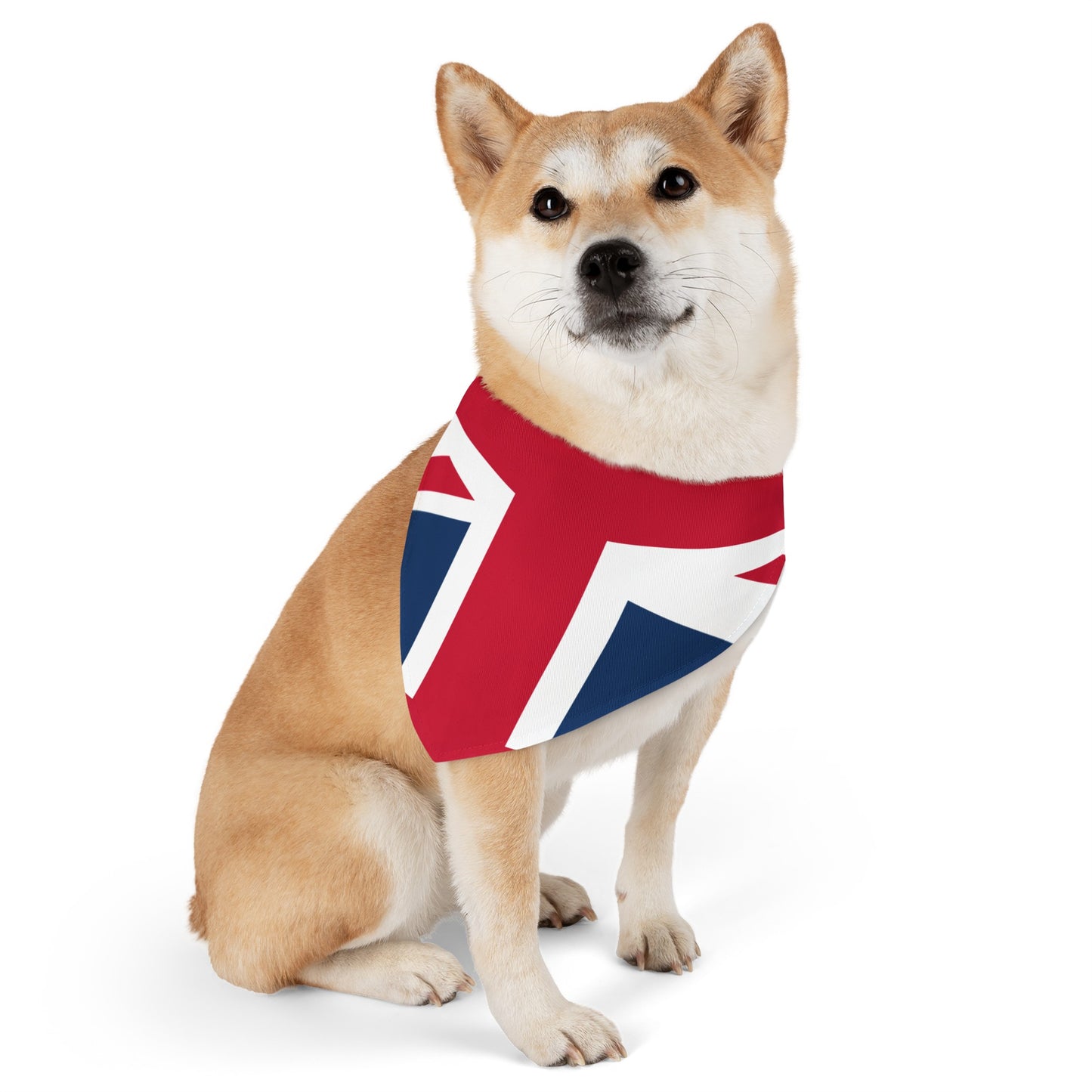 Lichfield Proms Union Jack - Pet Bandana Collar