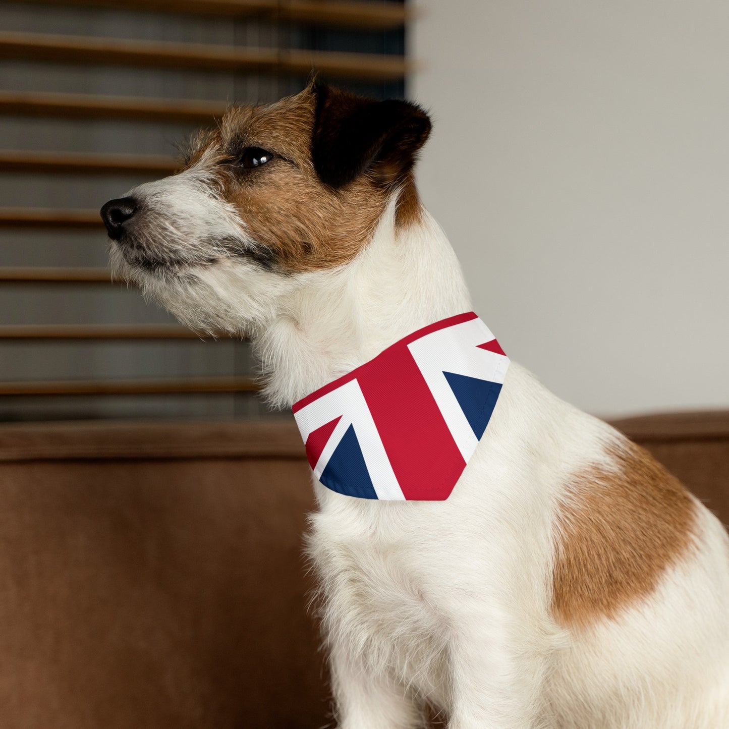 Lichfield Proms Union Jack - Pet Bandana Collar