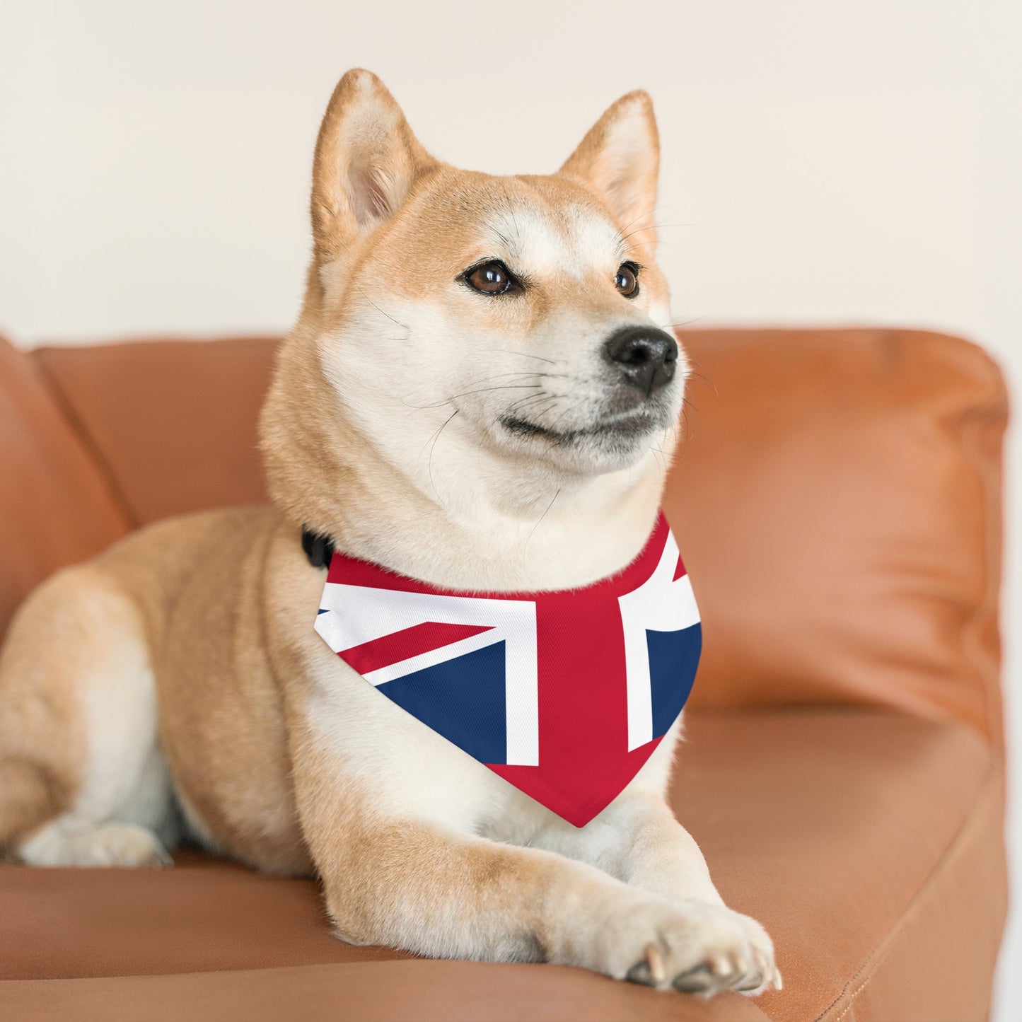 Lichfield Proms Union Jack - Pet Bandana Collar