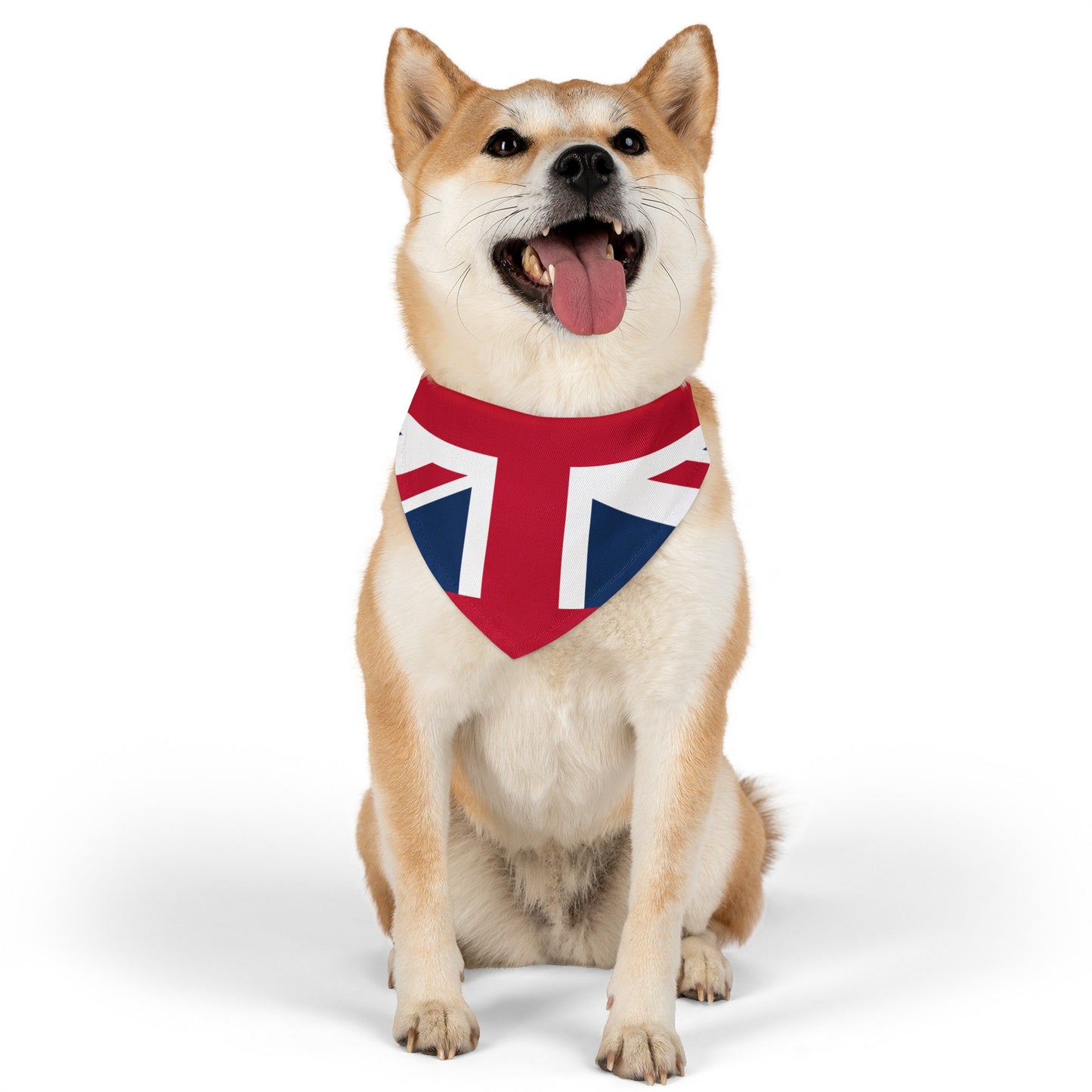 Lichfield Proms Union Jack - Pet Bandana Collar